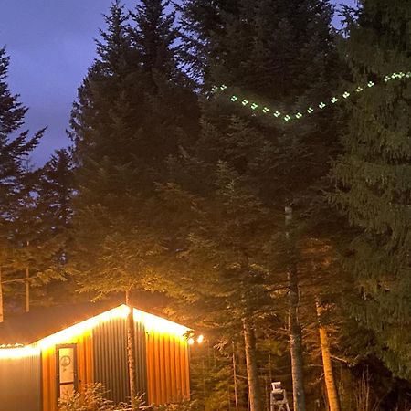 Феєрія Лісу Aparthotel Skhidnytsia Bagian luar foto
