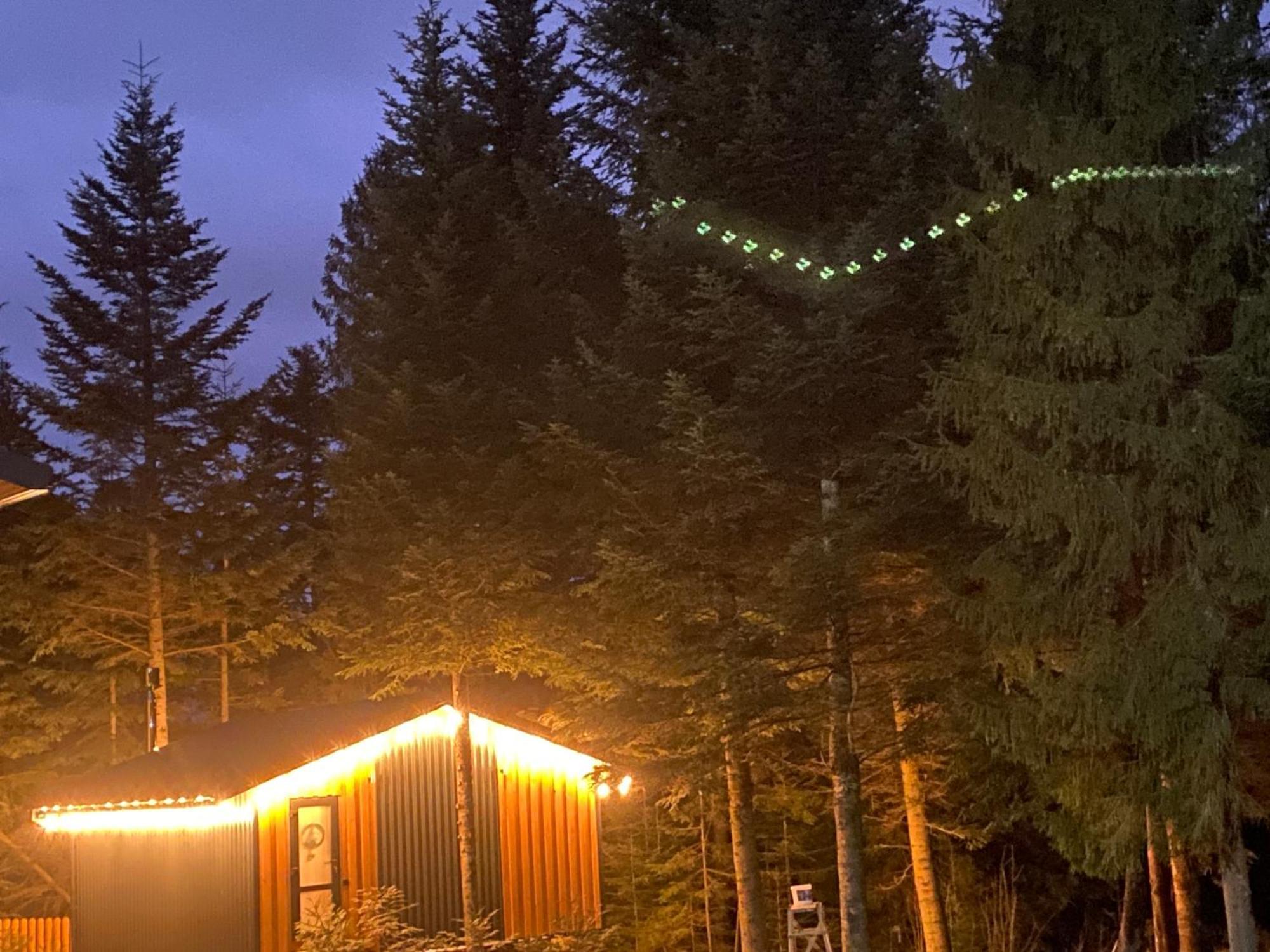 Феєрія Лісу Aparthotel Skhidnytsia Bagian luar foto