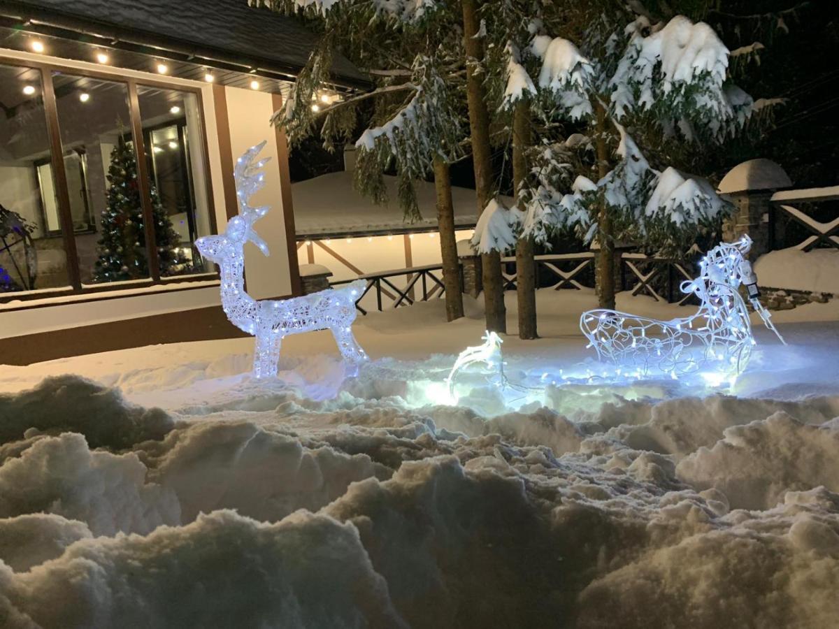 Феєрія Лісу Aparthotel Skhidnytsia Bagian luar foto